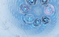 2014 08 28 Still Standing Plastic 012-white.jpg